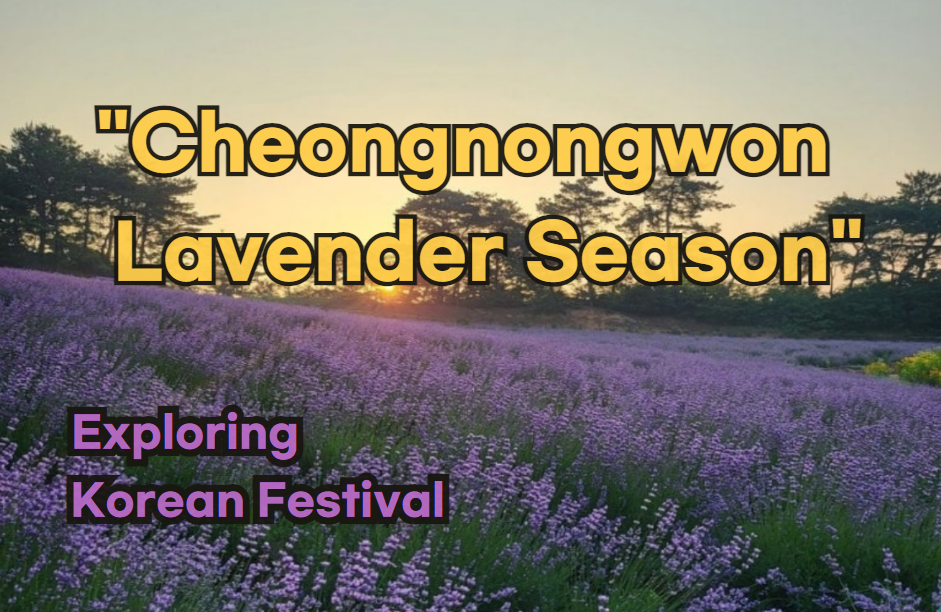 Gochang Cheongnongwon Lavender Season