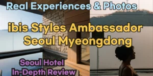 ibis Styles Ambassador Seoul Myeongdong Reviews