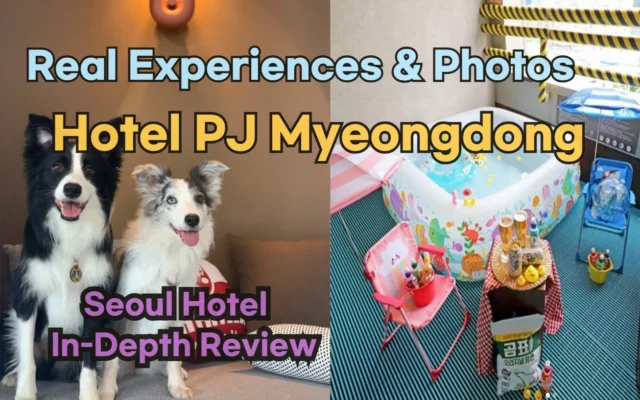 [Hi-K] Insider’s Guide: Hotel PJ Myeongdong Reviews, Hype… and Reality? (Hotels in Myeongdong Seoul South Korea)
