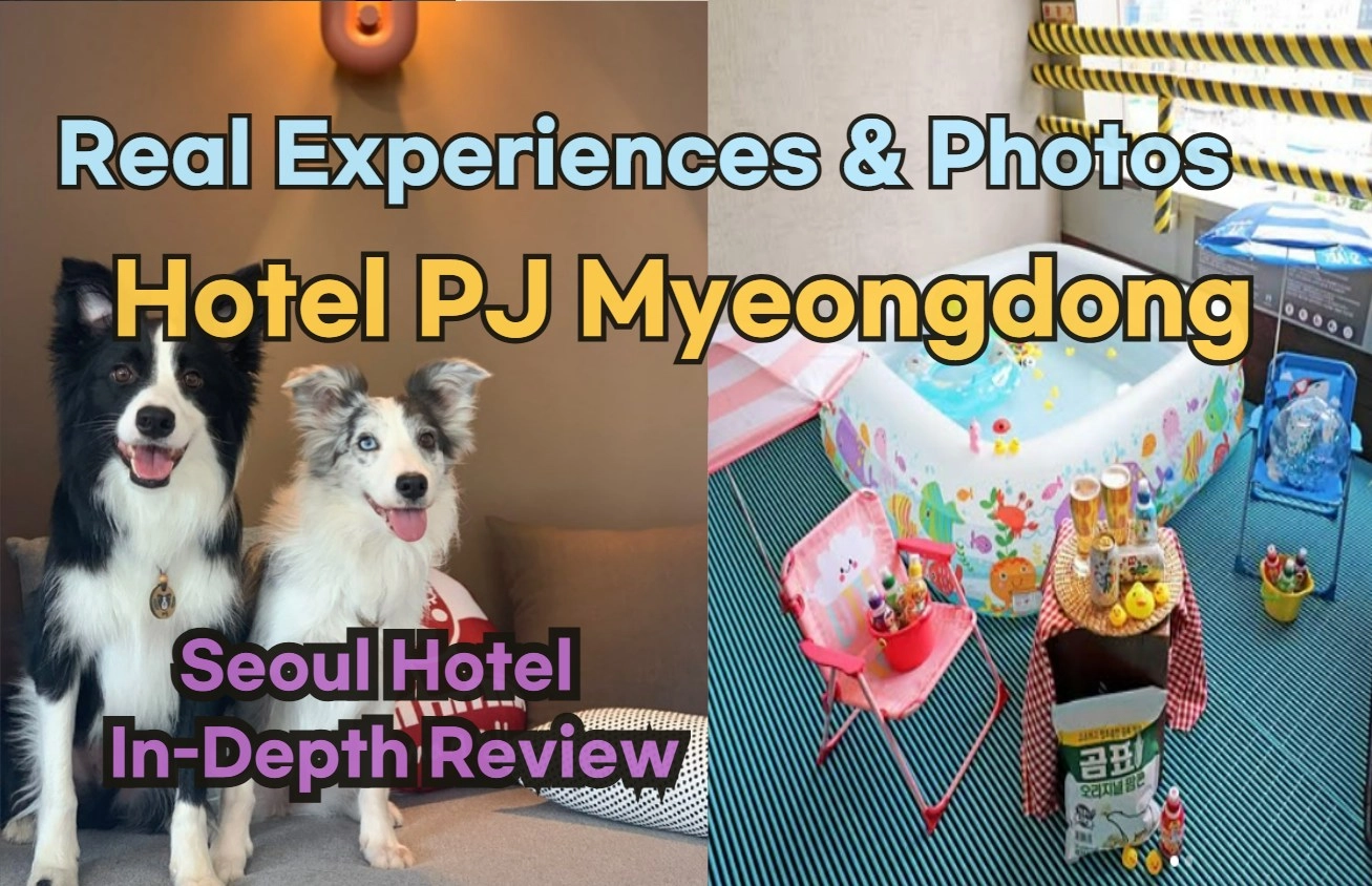 [Hi-K] Insider’s Guide: Hotel PJ Myeongdong Reviews, Hype… and Reality? (Hotels in Myeongdong Seoul South Korea)